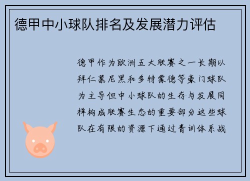 德甲中小球队排名及发展潜力评估