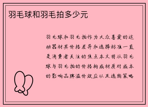 羽毛球和羽毛拍多少元
