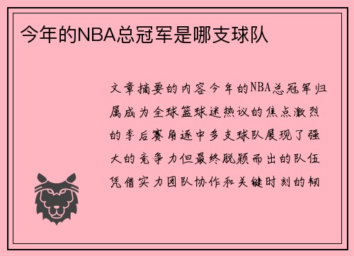 今年的NBA总冠军是哪支球队